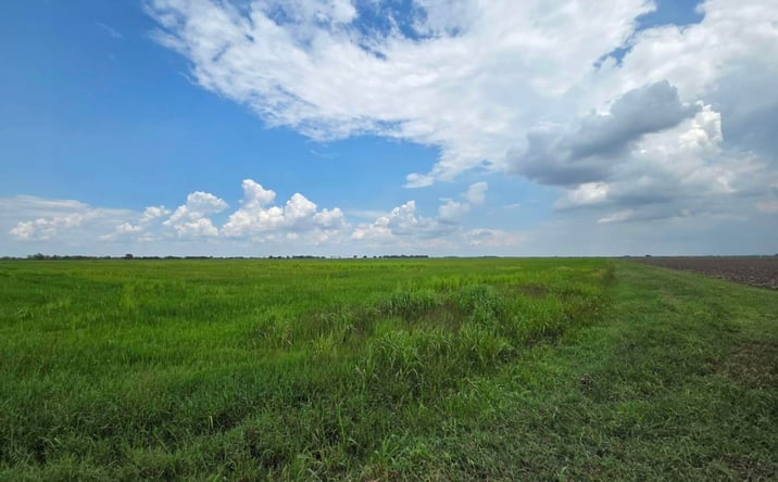 Pictures of Land property located at 23823 Juniper Road, Kaplan, LA 70548 for sales - image #1