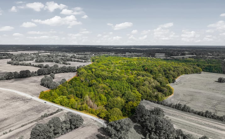 Pictures of Land property located at Harper Chapel Rd, Trenton, TN 38382 for sales - image #1