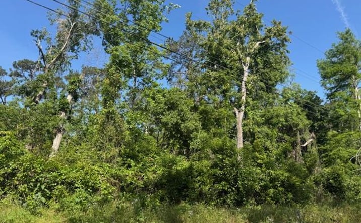 Pictures of Land property located at 316 Blitch, Valdosta, GA 31605 for sales - image #1