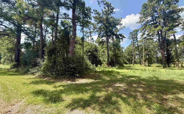 Pictures of Land property located at Bob Hayes Road, DeRidder, LA 70634 for sales - image #1