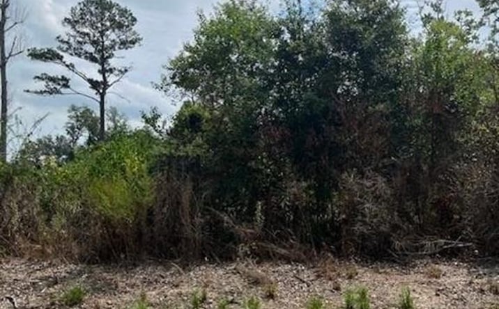 Pictures of Land property located at LeDoux Road, Iowa, LA 70647 for sales - image #1