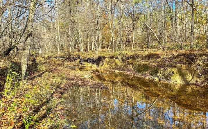 Pictures of Land property located at 364 Winston Rd, Nelson, VA 24580 for sales - image #1