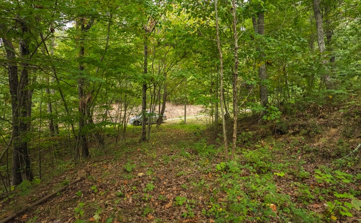 Pictures of Land property located at 170 Fire Tower Rd, Mooresburg, TN 37811-2034 for sales - image #1