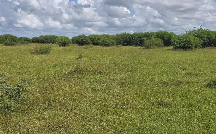 Pictures of Land property located at TBD Cemetery Road, Raymondville, TX 78580 for sales - image #1