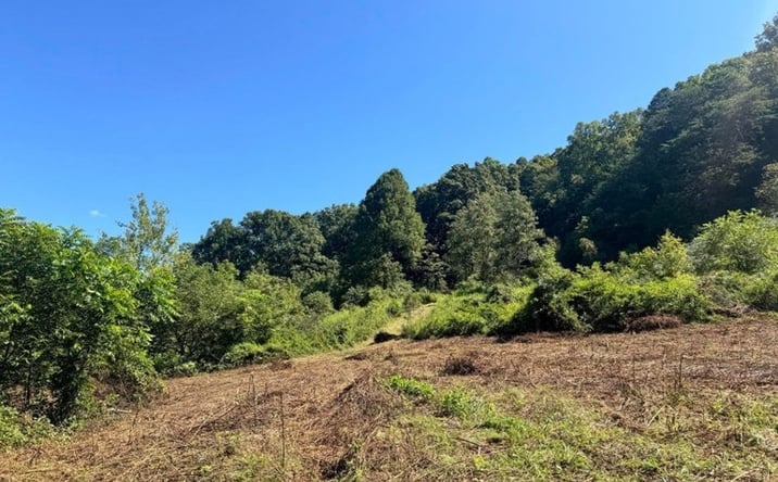 Pictures of Land property located at 7197 Tazewell Hwy, Sneedville, TN 37869 for sales - image #1