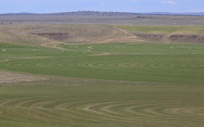 Pictures of Land property located at Off Weaver Springs Lane, Burns, OR 97720 for sales - image #1