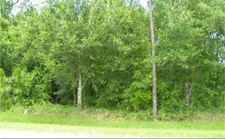 Pictures of Land property located at 6 S Cypress St, Fellsmere, FL 32948 for sales - image #1
