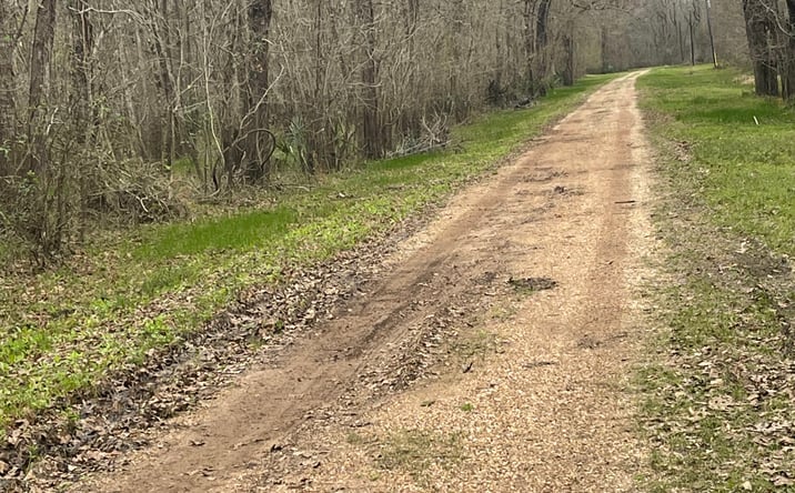 Pictures of Land property located at 264 County Road 2505, Liberty, TX 77575 for sales - image #1