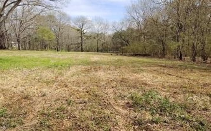 Pictures of Land property located at 3949 Hwy 80E, 70454, MS 39208 for sales - image #1