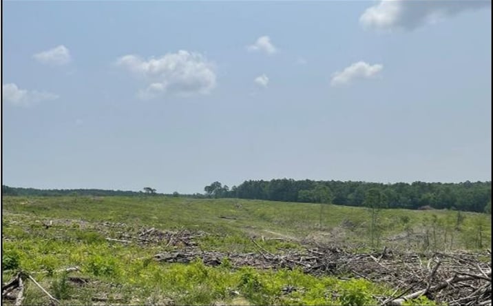 Pictures of Land property located at Pine Grove Road, 69084, MS 38922 for sales - image #1