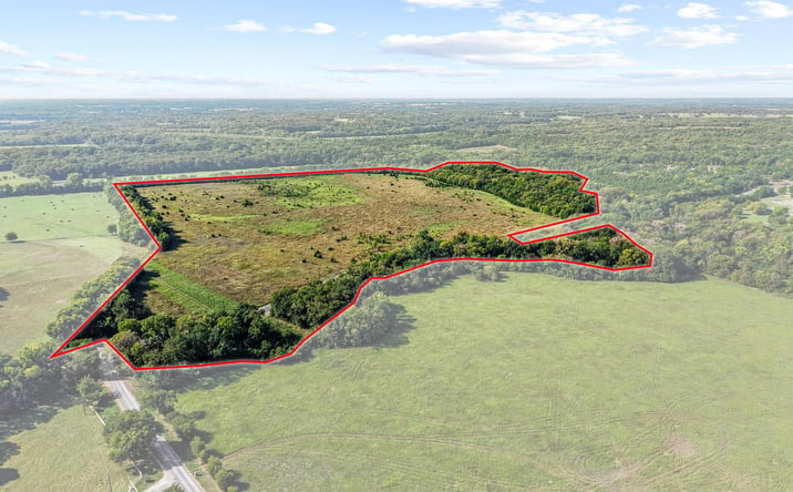Pictures of Land property located at Co Rd 534, Whitewright, TX 75491 for sales - image #1