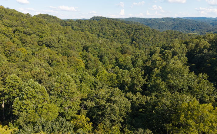 Pictures of Land property located at 32.38 Acres Off Panther Creek Road, Sneedville, TN 37869 for sales - image #1