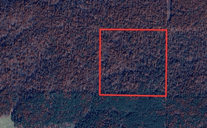 Pictures of Land property located at 000 Highway 21, Doniphan, MO 63935 for sales - image #1