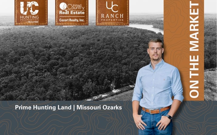 Pictures of Land property located at 000 County Road 3540, Mountain View, MO 65548 for sales - image #1
