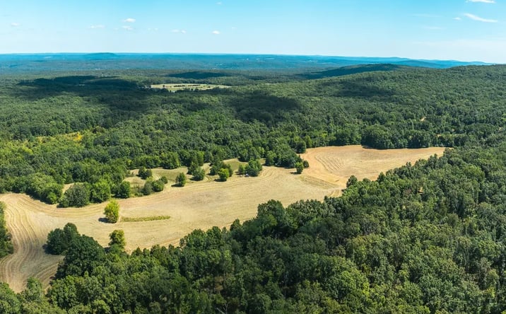 Pictures of Land property located at 221 Highway, Ironton, MO 63650 for sales - image #1