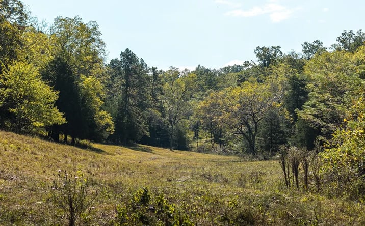Pictures of Land property located at 10110 Ashley Creek Rd, Salem, MO 65560 for sales - image #1
