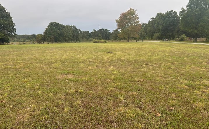 Pictures of Land property located at 21021 State Route M, Newburg, MO 65550 for sales - image #1