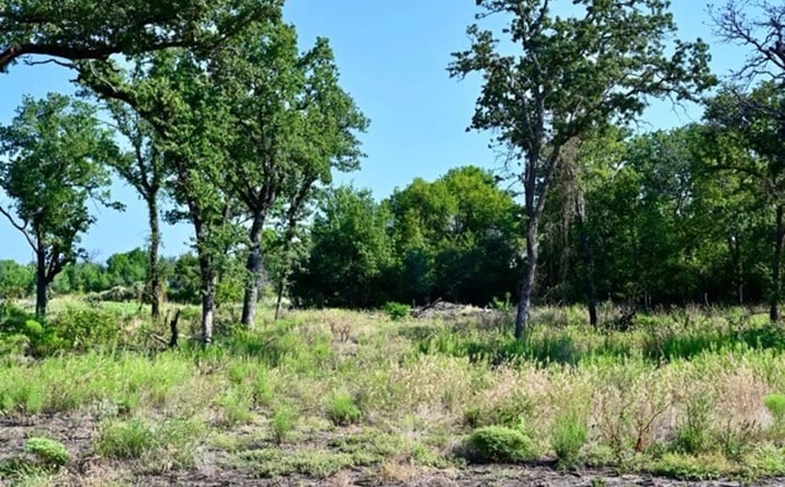 Pictures of Land property located at Lot 63 Camden Lane, Springtown, TX 76082 for sales - image #1