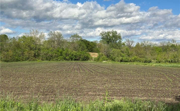 Pictures of Land property located at Tract 1 Albany Road, Orrick, MO 64077 for sales - image #1