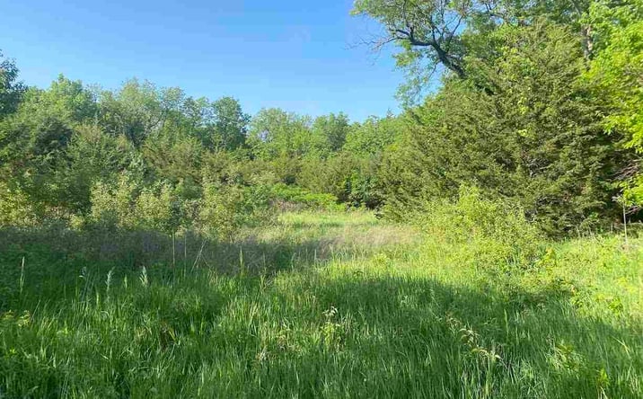 Pictures of Land property located at SE California, Wakarusa, KS 66546 for sales - image #1