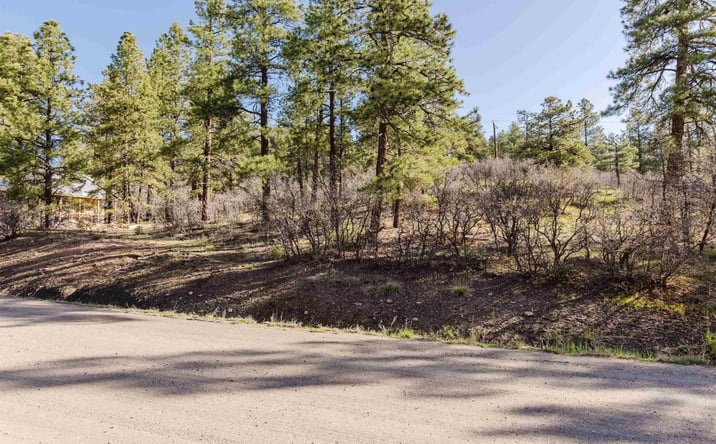 Pictures of Land property located at 106 Granada Dr, Pagosa Springs, CO 81147 for sales - image #1