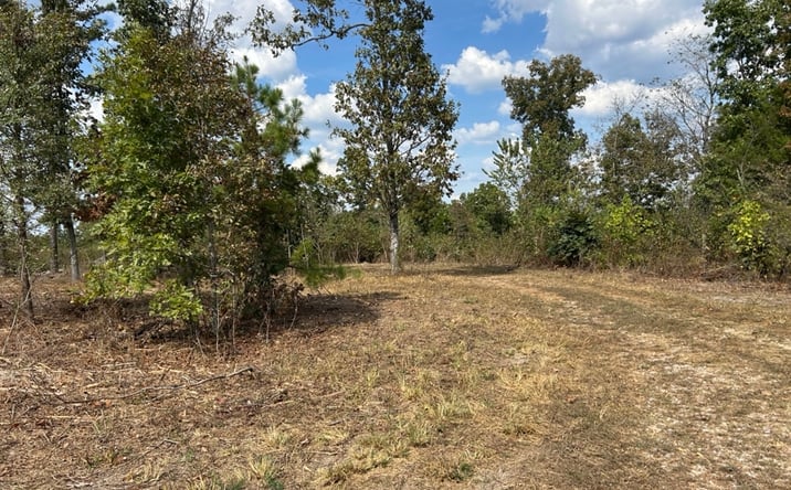 Pictures of Land property located at Hc 73 Box 4925 (Track 20), Ava, MO 65608 for sales - image #1