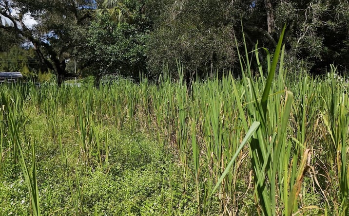 Pictures of Land property located at TBD Kissimmee Avenue, Fort Denaud, FL 33935 for sales - image #1