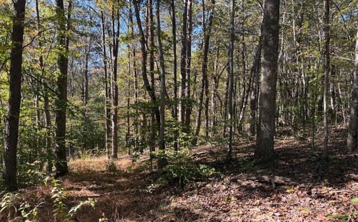Pictures of Land property located at 9847 Stage Road, Logan, OH 43138 for sales - image #1