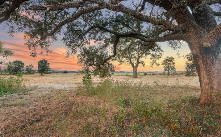 Pictures of Land, Mixed Use, Office, Retail, Self Storage property located at 2339 TX-36, Sealy, TX 77474 for sales - image #1