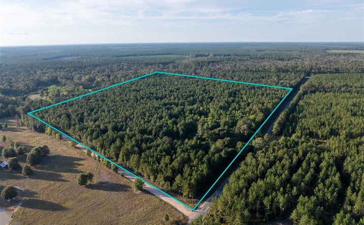 Pictures of Land property located at Burns Clark Rd, Singer, LA 70660 for sales - image #1