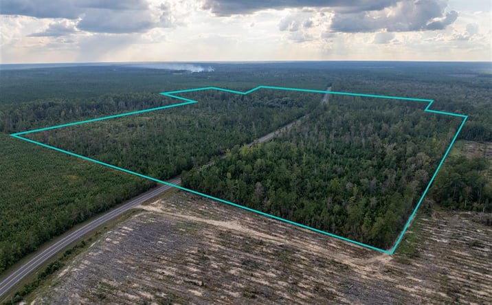 Pictures of Land property located at Hwy 109, Singer, LA 70660 for sales - image #1