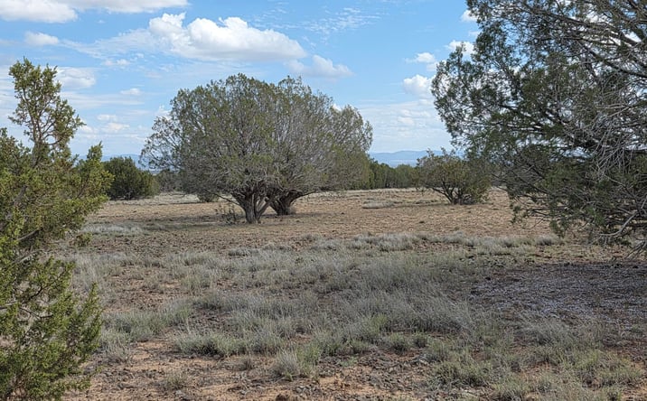 Pictures of Land property located at 64 Antelope Run, Ash Fork, AZ 86320 for sales - image #1