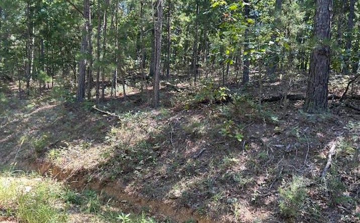 Pictures of Land property located at 1 County Road 137, Annapolis, MO 63620 for sales - image #1