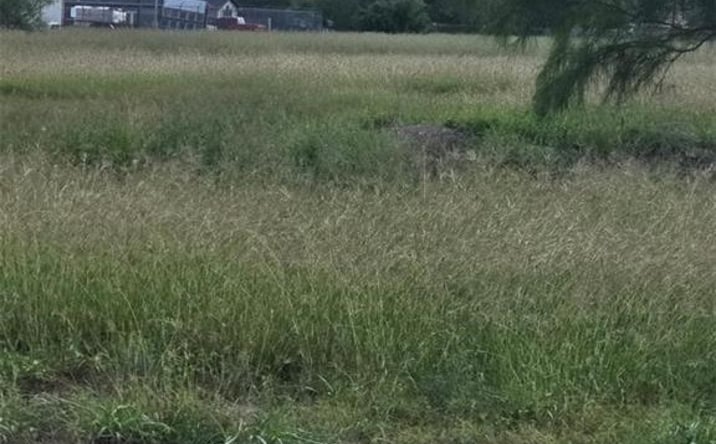 Pictures of Land property located at 3716 S US Highway Business 281 Street, Edinburg, TX 78539 for sales - image #1