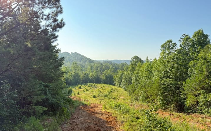Pictures of Land property located at 000 Pleasant Hill Church Road, Hackleburg, AL 35564 for sales - image #1
