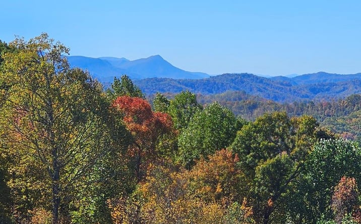 Pictures of Land, Multifamily property located at Lot#9 Mayito Ln, Mouth of Wilson, VA 24363 for sales - image #1