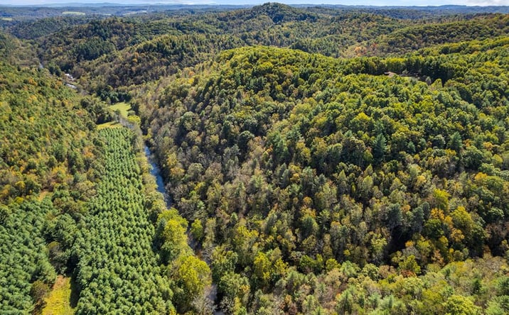 Pictures of Land, Multifamily property located at TBD Scratch Gravel Rd, Max Meadows, VA 24360 for sales - image #1