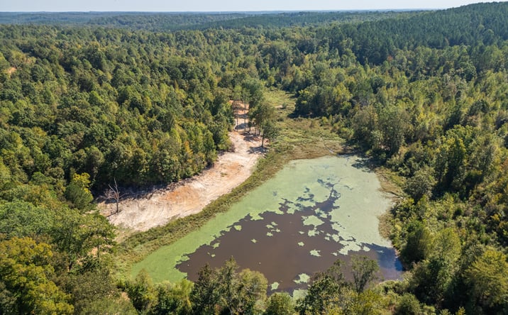 Pictures of Land property located at County Road 210, Pittsboro, MS 38951 for sales - image #1