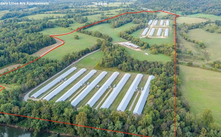 Pictures of Land property located at 2845 Whites Bottom, Burkesville, KY 42717 for sales - image #1