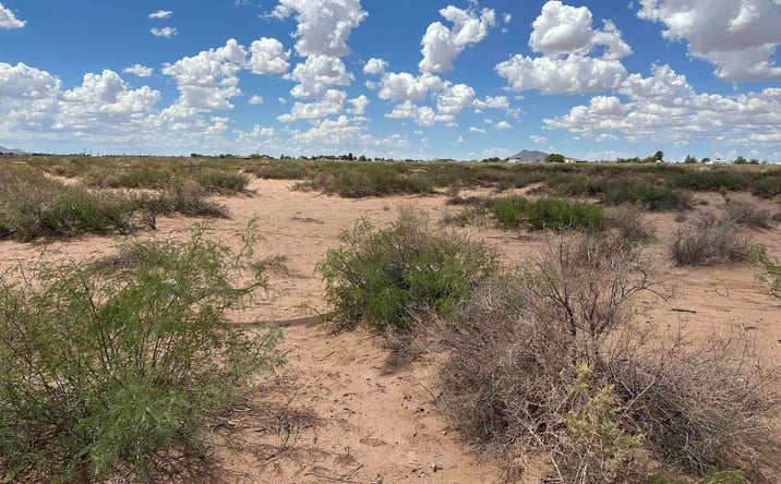 Pictures of Land property located at XXXX Overhill #1 Drive Nw, Deming, NM 88030 for sales - image #1