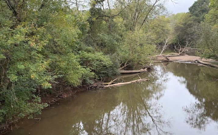 Pictures of Land property located at County Road 60, Heflin, AL 36264 for sales - image #1