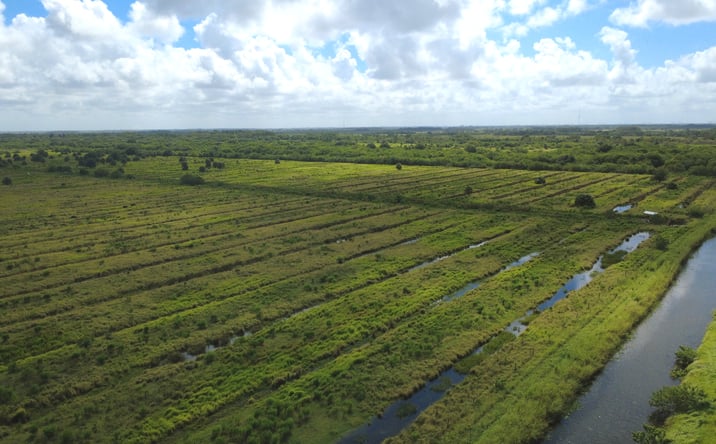 Pictures of Land property located at 146th Ave SW, Vero Beach, FL 32968 for sales - image #1