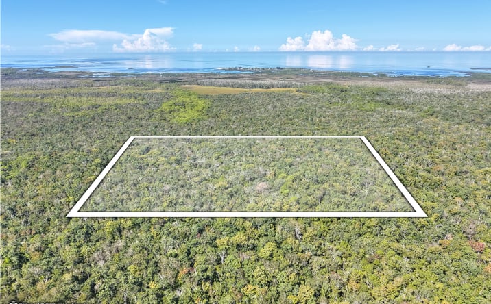 Pictures of Land property located at Pine Island Drive, Weeki Wachee, FL 34613 for sales - image #1