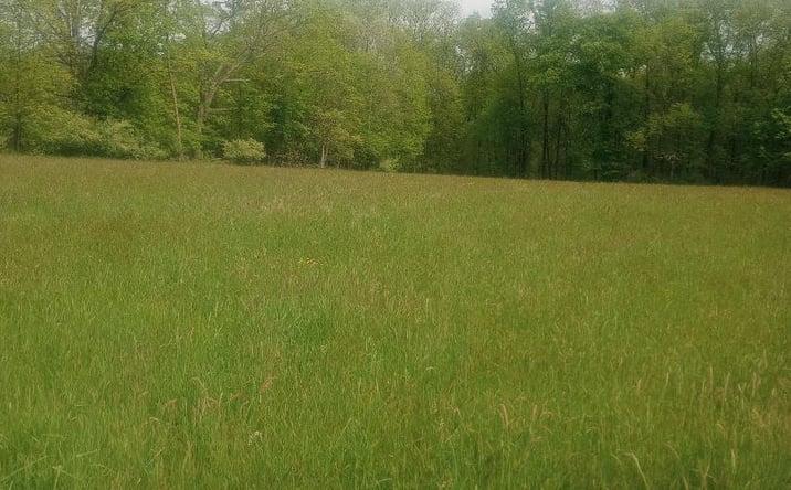 Pictures of Land property located at Myers RD. Westtown, Minisink, NY 10998 for sales - image #1