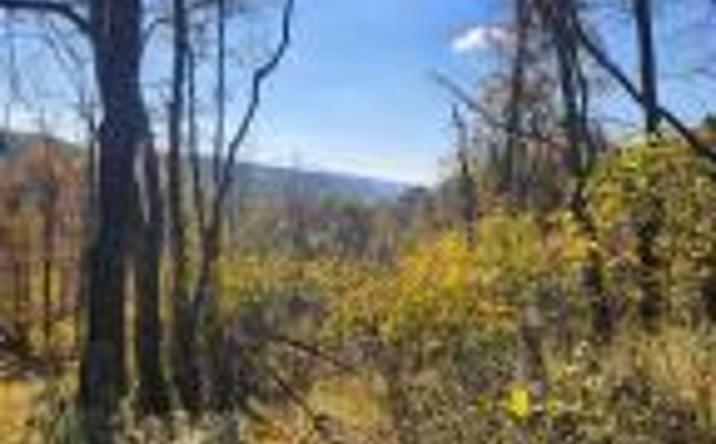 Pictures of Mixed Use property located at Lots C1-C4 Natures Symphony Road, 1tt8qn6g6tkl, PA 16655 for sales - image #1
