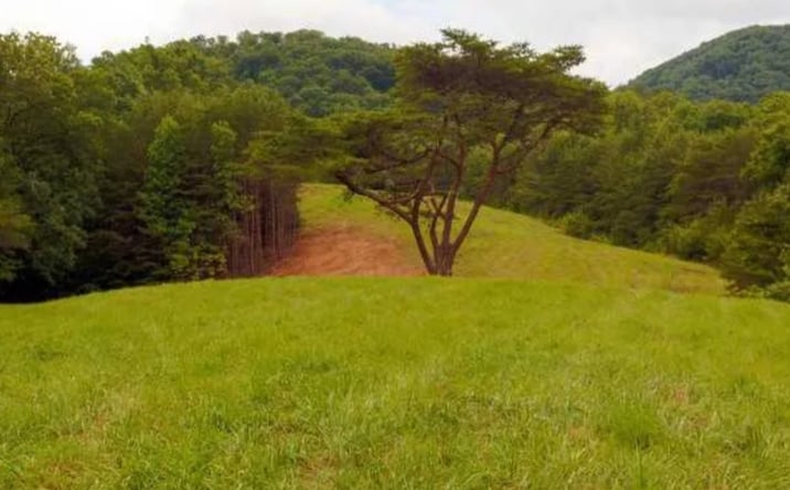 Pictures of Land property located at 14694 GA-515, Ellijay, GA 30536 for sales - image #1