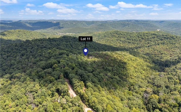 Pictures of Land property located at Co Rd 206, Eureka Springs, AR 72632 for sales - image #1