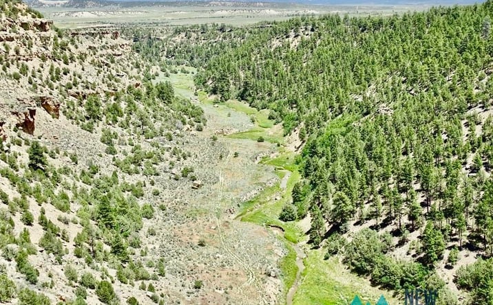 Pictures of Land property located at 955 County Road 303 Road, Cebolla, NM 87518 for sales - image #1