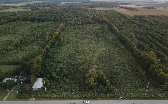 Pictures of Land property located at 33.4 acres in Richland Parish, Holly Ridge, LA 71269 for sales - image #1