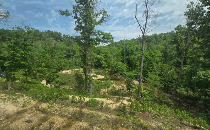 Pictures of Land, Special Purpose property located at Lot 17 E 64 hwy, Lebanon, MO 65536 for sales - image #1